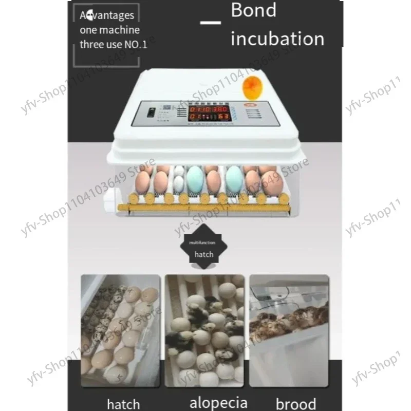 Small and Medium-Sized Household Incubator Incubator Such As Chicken, Duck, Goose, Quail and Pigeon Bird Eggs Incubators