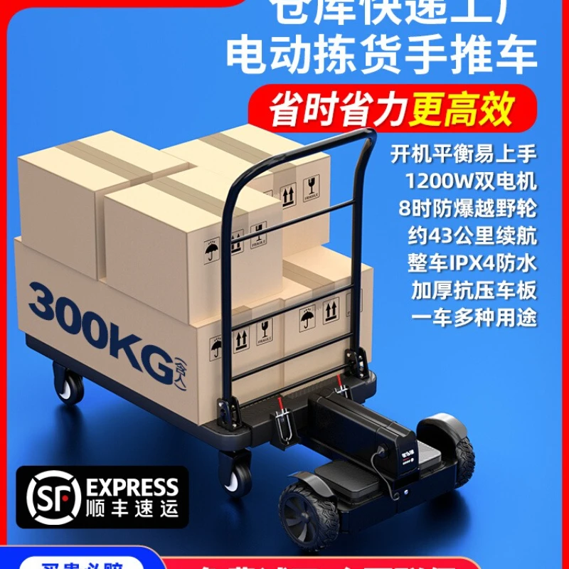 Lingao electric small trolley warehouse express transportation balance car cargo handling artifact tool car flat truck