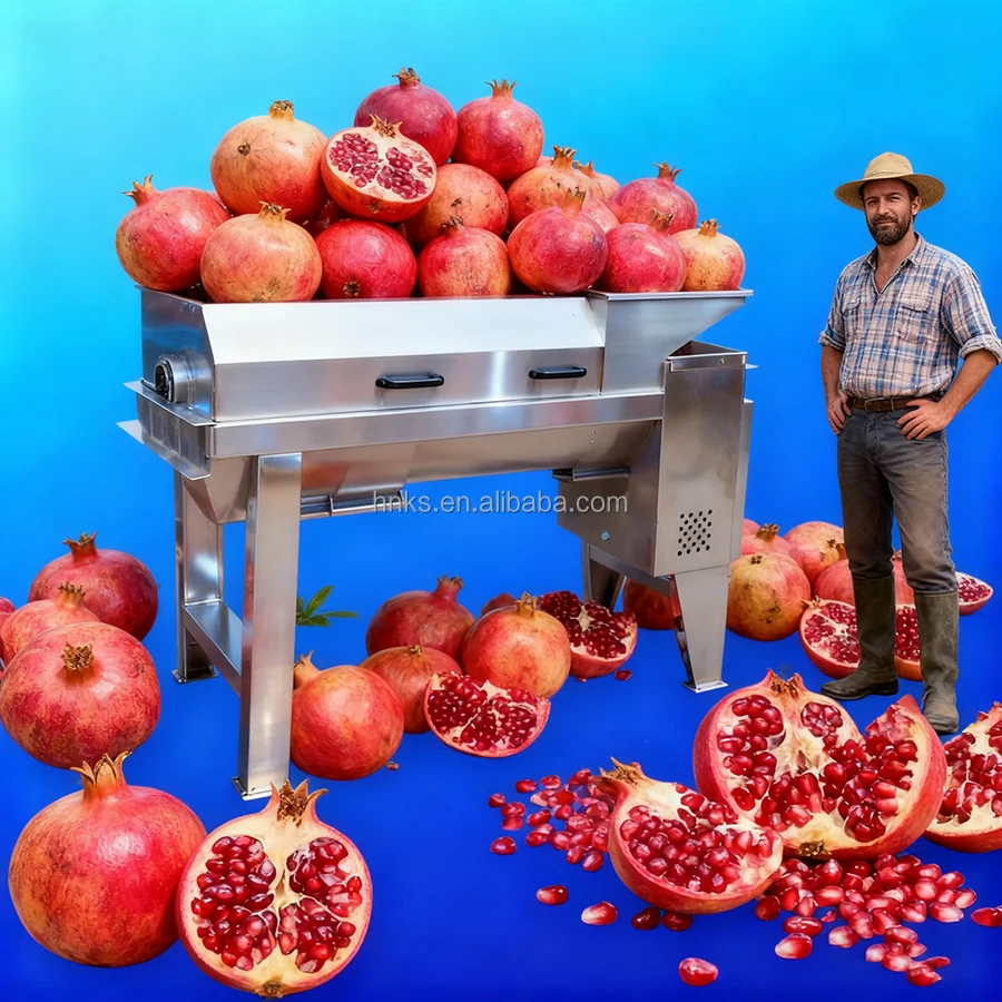Full Automatic Pomegranate Passion Fruit Seed Making Machine Peeing Seeding Machine Separating Peeling Seed Extraction