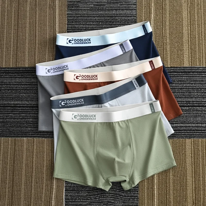 3-Pack Men's Cotton Boxer Shorts Antibacterial Underwear Soft Breathable Mid Waist Elastic Underpants for Gym Travel Daily Wear