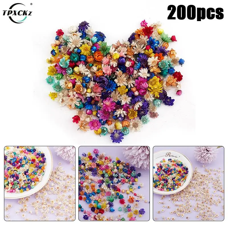 200pcs Dried Flowers For Epoxy Resin DIY Art Craft Candle Jewellery Making Glass Cover Ball Filler Dry Flowers Accessories