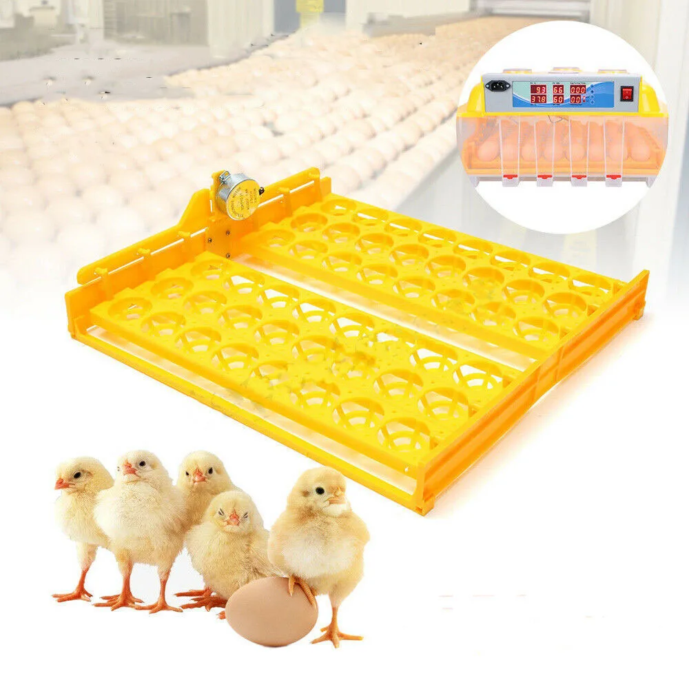 Automatic Egg Incubator 220V 56-Egg Turner Tray for Hatching Chicken Duck Goose Birds Incubator Brooder Poultry Hatch Incubator