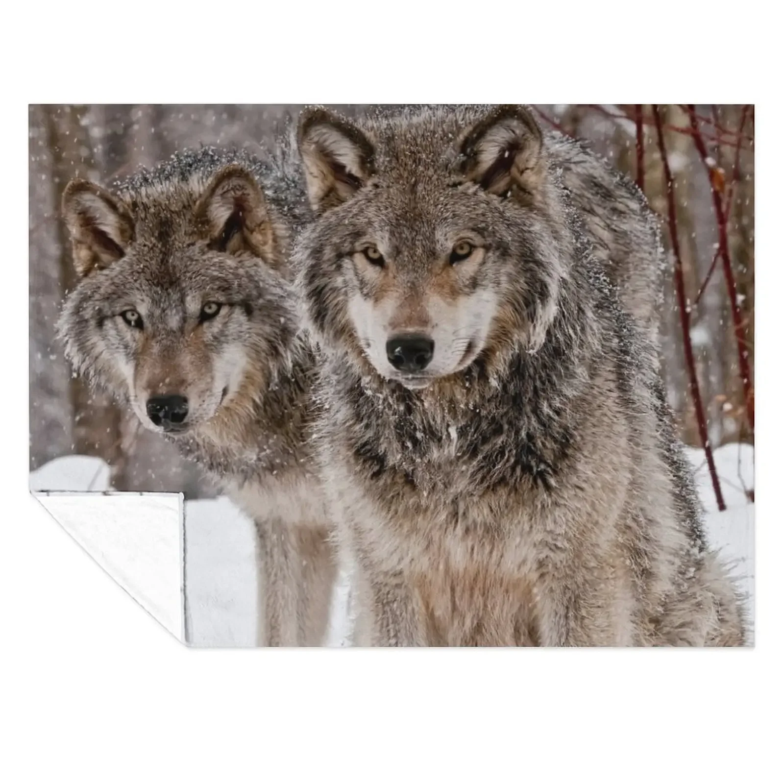 

Timber Wolf Pair Throw Blanket Travel Beautifuls For Baby Tourist Blankets