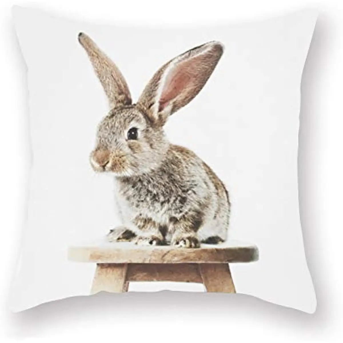 فوندا دي ألموهادا ديكوراتيفا دي كونيجو جريس فوندو بلانكو، فوندا دي ألموهادا ديكوراتيفا بارا داميتوريو، أريكة كوادرادو #5