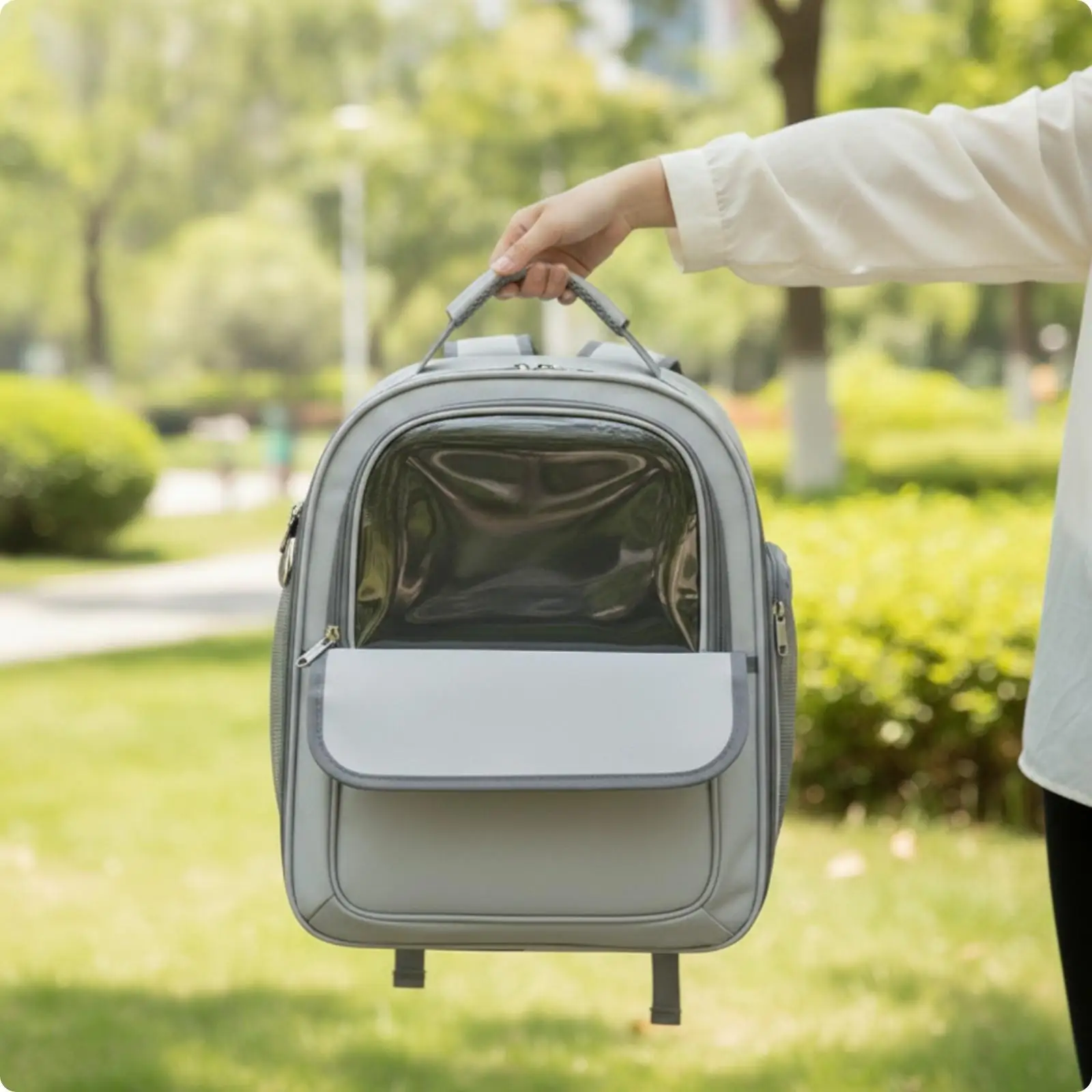 Backpack Pet Carrier for Small Animals with Transparent Panel and Comfortable Shoulder Straps for Travel