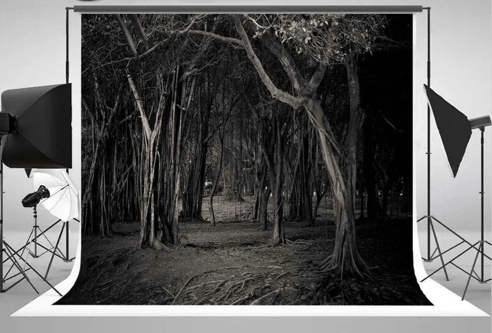 Fondos de estudio de fotografía escénica con estampado por ordenador, parque de camino oscurecido, bosque embrujado, bosque embrujado