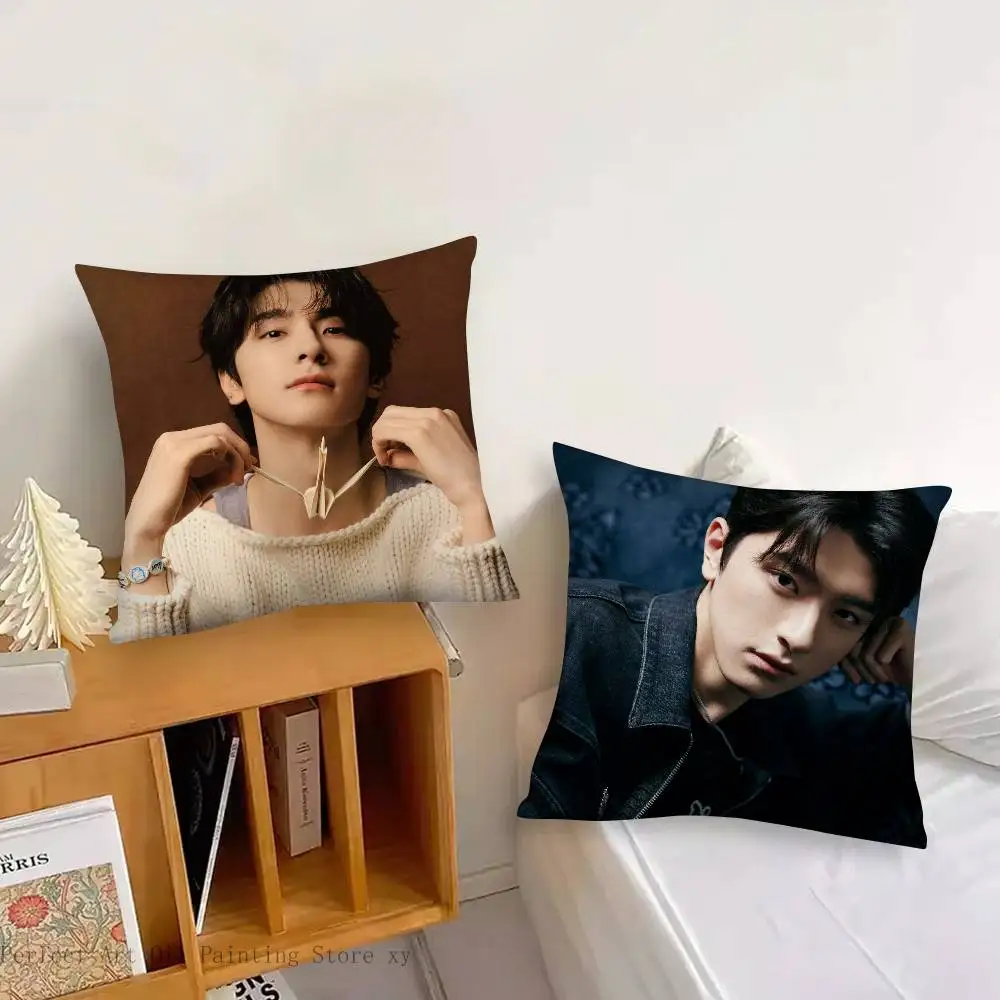 Linyi Star Actor Pillow Case Fashion Square Pillowcase Bedroom Sofa Room Ins Decoration Leisure