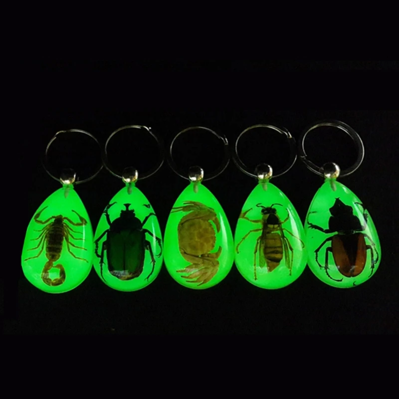 Luminous Amber Insect Keychain Black Resin for Key Ring Glow in the Dark Pendants with Insect Sample Inside image 4