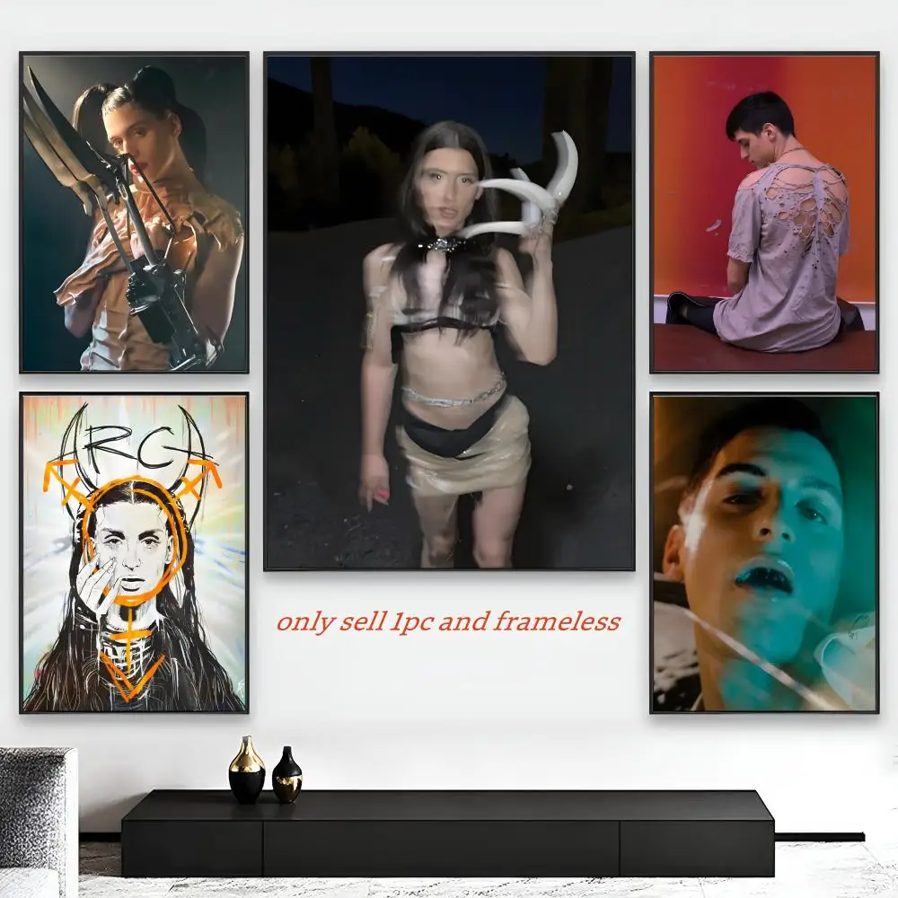 Experimental Electronic Producer Arca Poster HD Self-Adhesive Wall Decor Home Office Dorm Bedroom & More Ideal Gift Choice