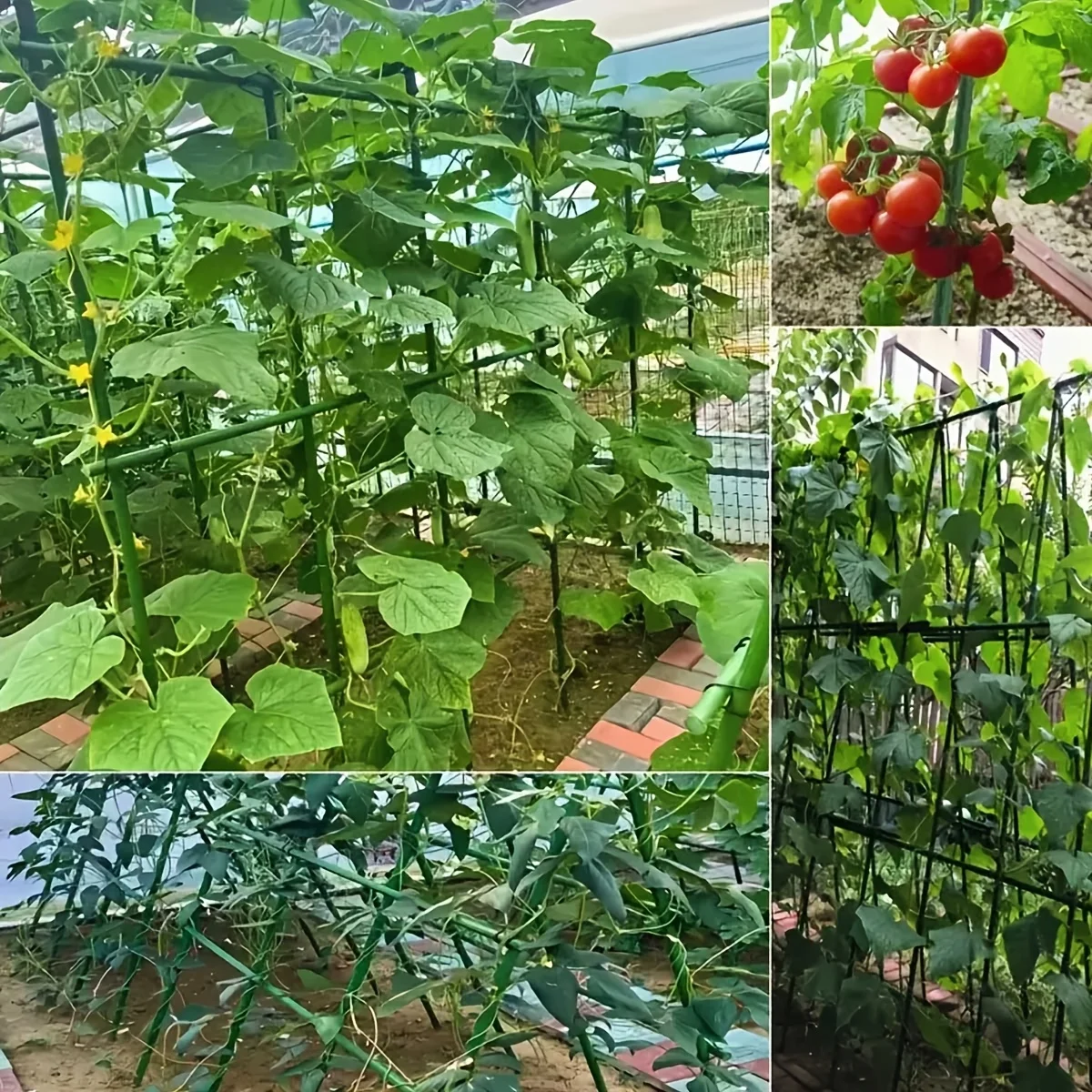 Garden Plant Climbing Support Frame Rustproof Trellis Kit for Cucumber Tomato Grape Vegetable Vine Growth H0983