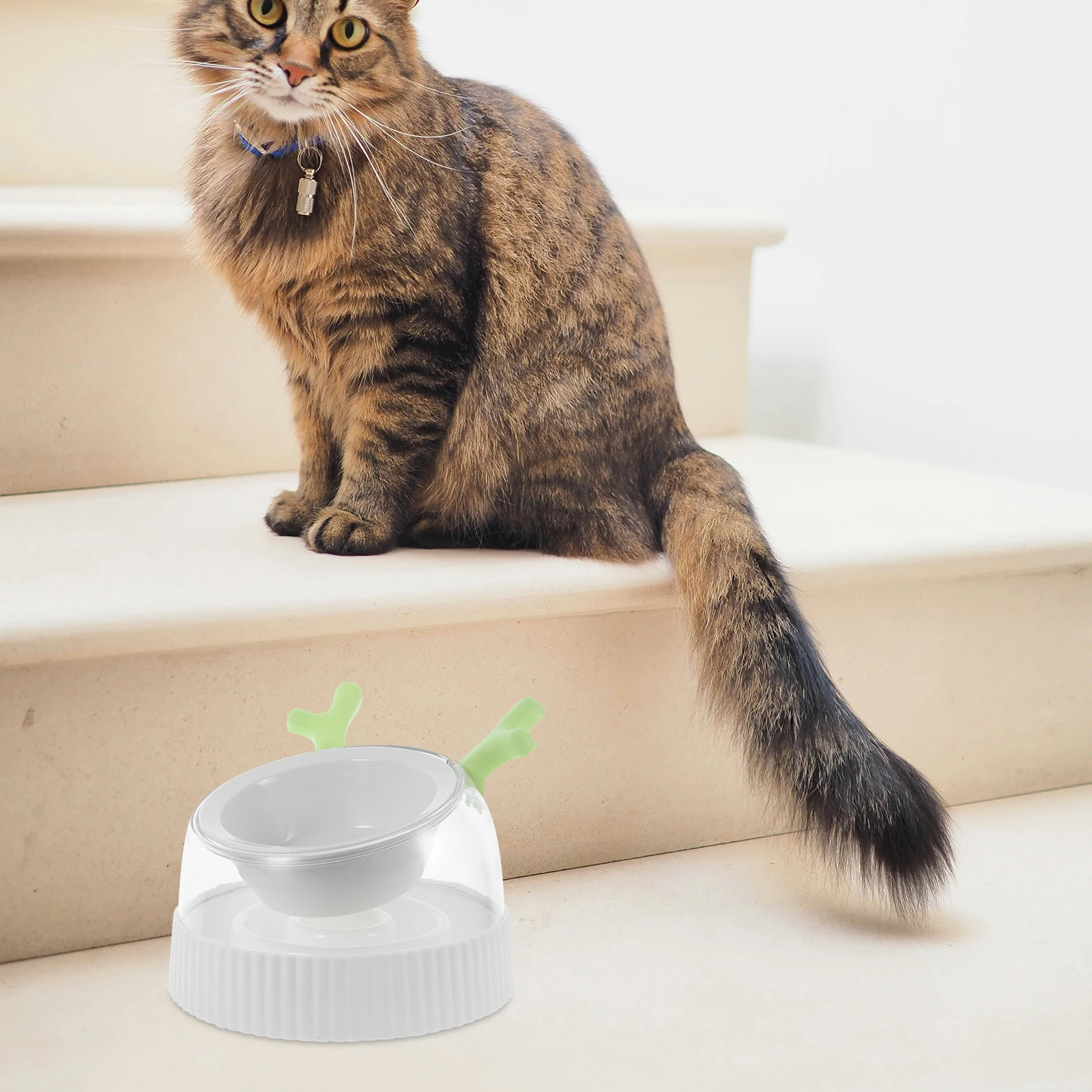 

Small Indoor Cat Dog Feeder Bowl Spillproof Pet Water Food Dispenser Non-Slip Easy Clean Dog Feeder Bowl Dispenser