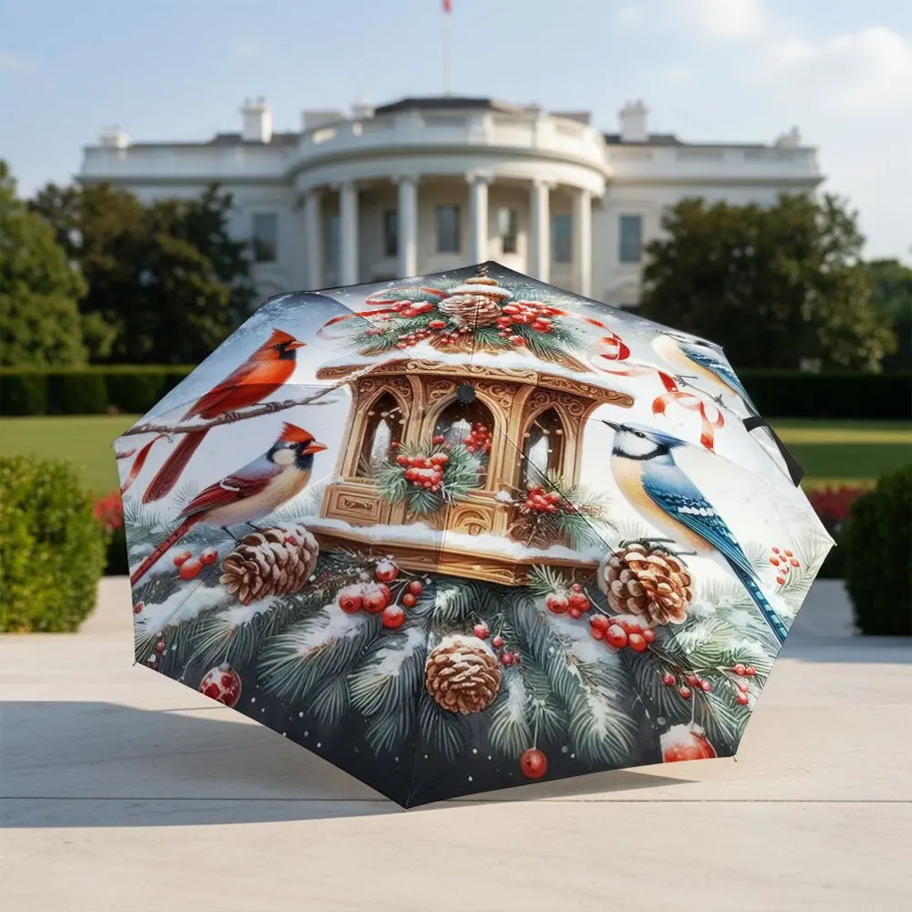 

Портативный складной зонт с автоматическим открыванием/закрыванием - Дизайн в зимнем стиле (Кардинал, Синий воробей, Сосновые шишки, Красные ягоды) - Com