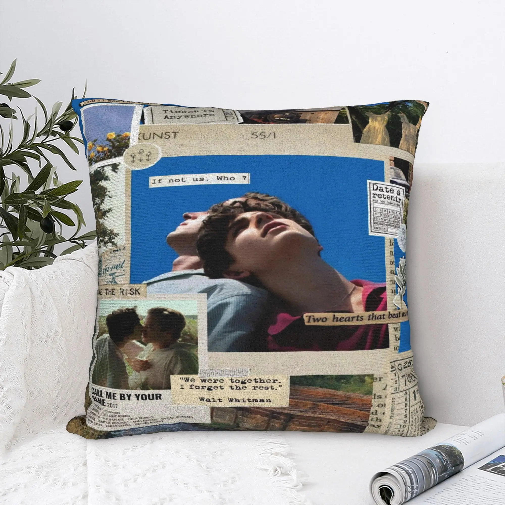Call Me by Your Name Pillowcase Merch Printing Cushion Cover  Pillow Covers Seat Decoration Zipper Multiple Sizes