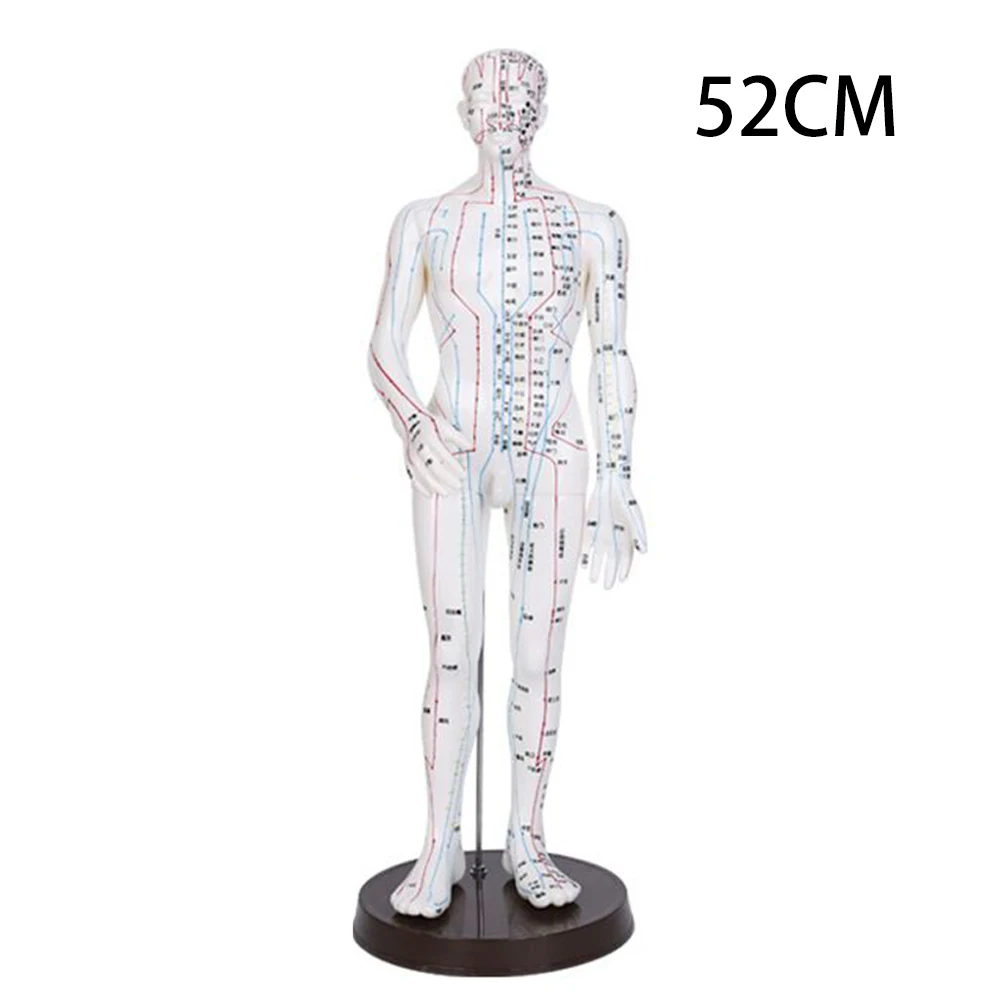 40CM/52CM Chinese Medicine Man/Woman Meridians Model Human Body Acupuncture Model Teaching Medical Education Appliances 2Color