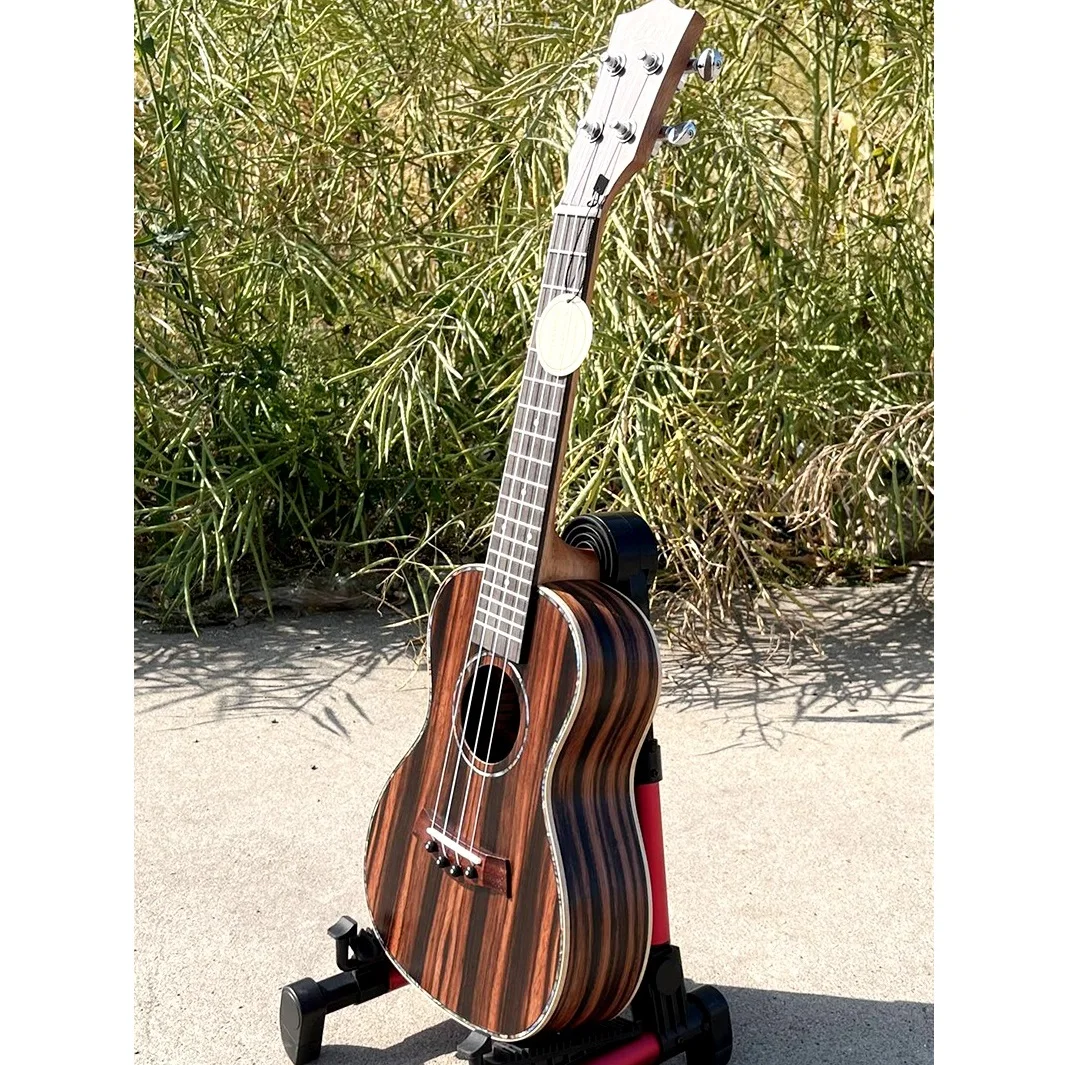 Soprano 21 pulgadas Ukelele 4 cuerdas guitarra para niños instrumentos musicales ukelele acústico de ébano