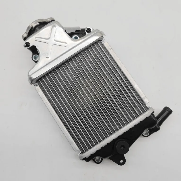 Suitable for Motorcycle ADV150 Water Tank Assembly BL150T-4D Electronic Fuel Injection Radiator