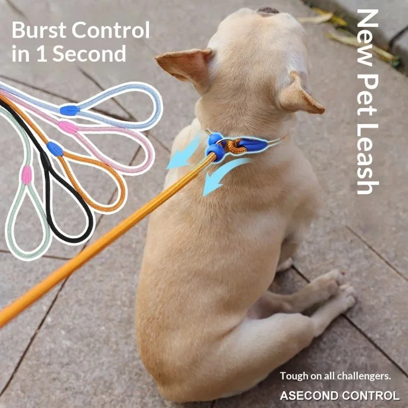 160cm Adjustable Nylon Dog Slip Lead P-Chain Leash Anti-Choke Training Rope for Small Medium Dogs