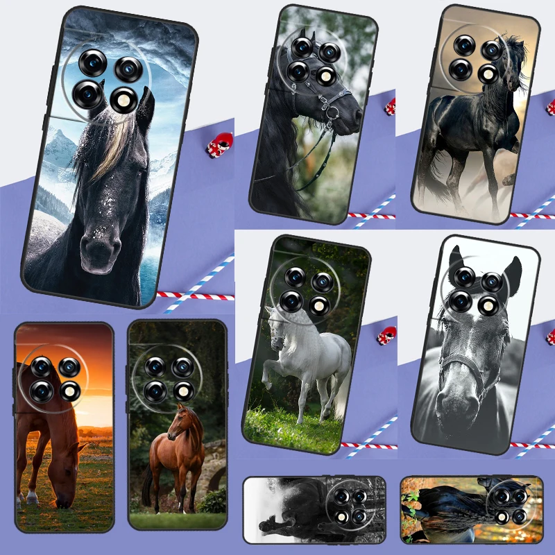 Horse Animal Cover … - image