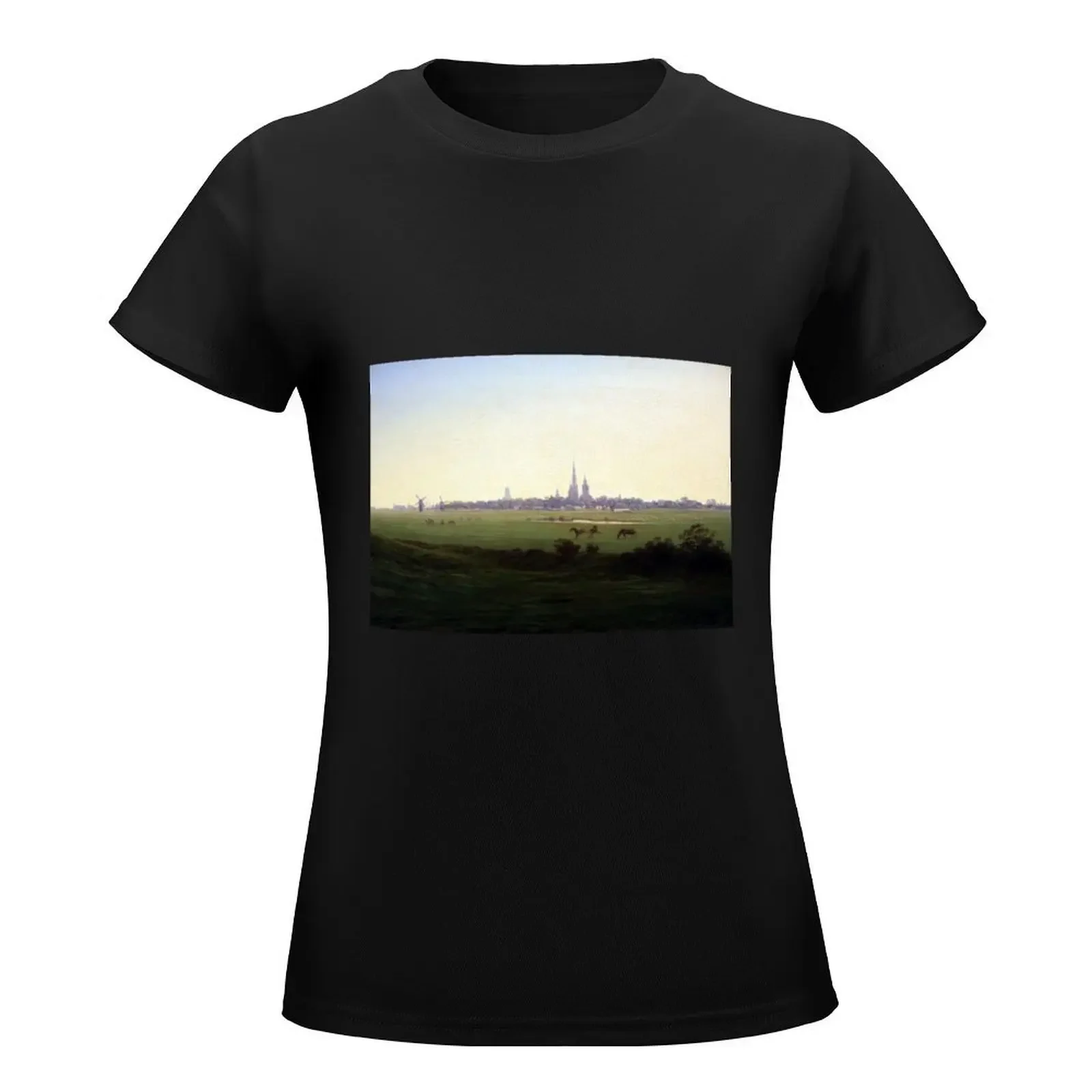 Caspar David Friedrich Meadows near Greifswald T-Shirt korean fashion aesthetic clothes woman t shirt