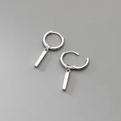 925 Silver Needle Hoop Earrings for Women Girls Elegant Fashion Wedding Party Punk Jewelry Gift eh857