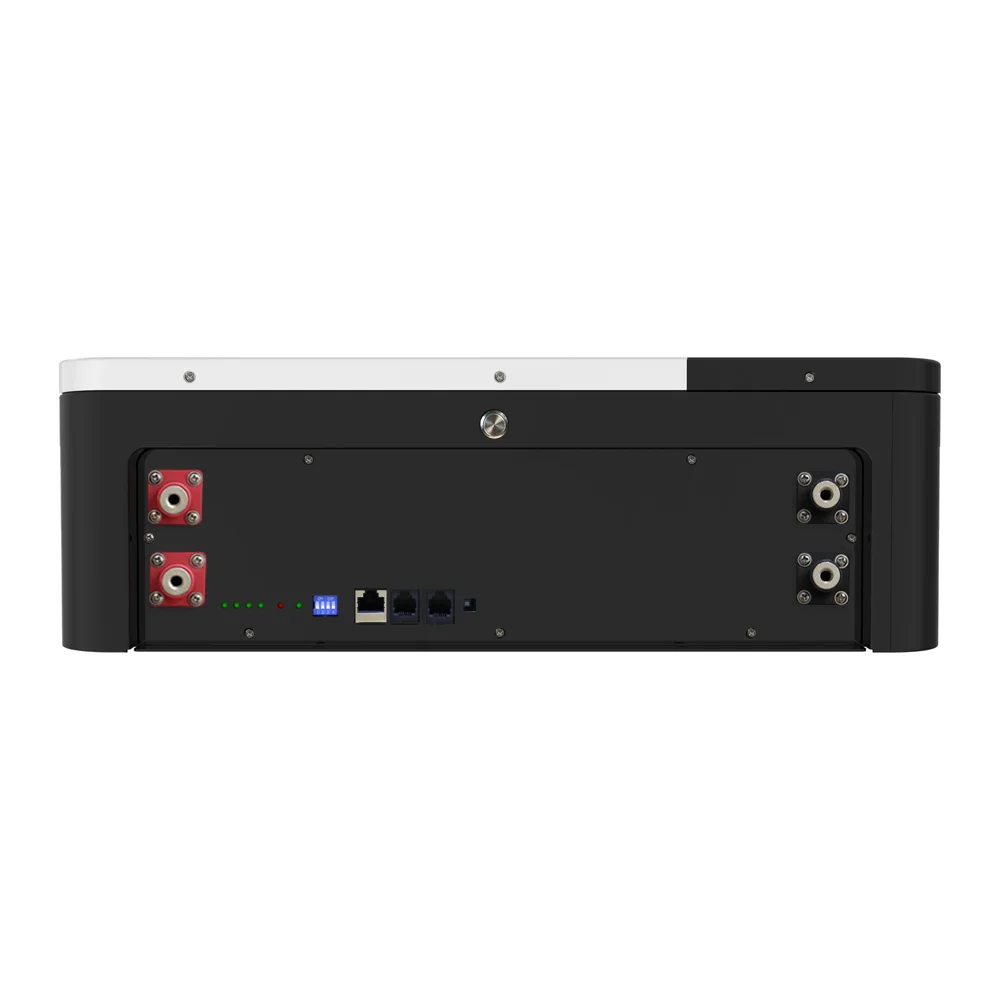 Custodia per batteria a cremagliera resistente alle intemperie IP65 di grado industriale Batteria agli ioni di litio per energia eolica solare esterna Ecosun