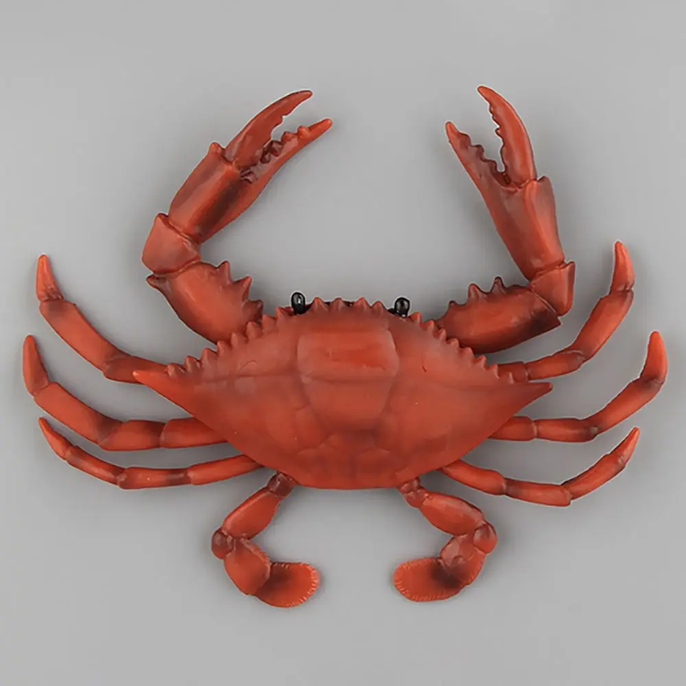 Sea Animal Red Crab Models Simulation Crabs Figurine Scenes Making Micro Landscape Realistic Gift  Kids Cognition Toy