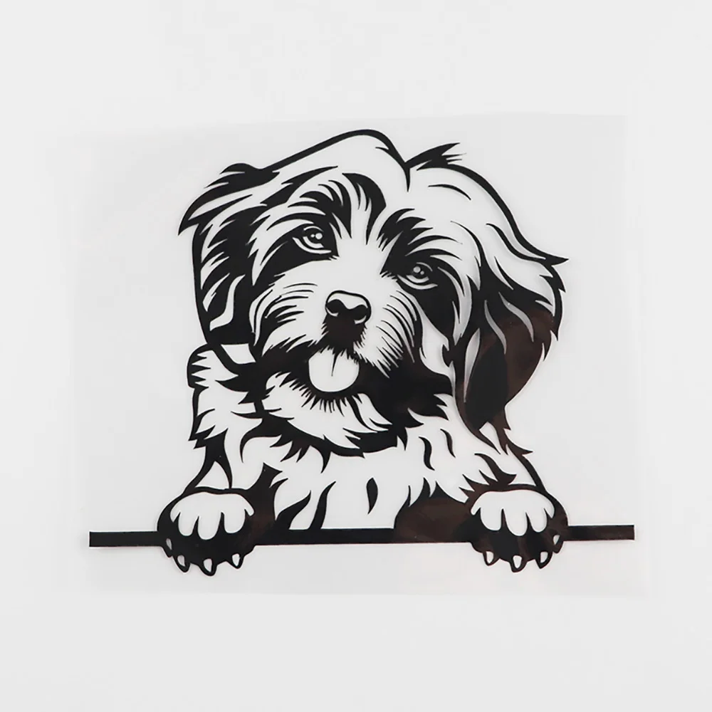 Y119#13CM/17CM Black Transparent Funny Havanese Dog Peeking Decal Vinyl Car Sticker Car Accessories Pegatinas Para Coche