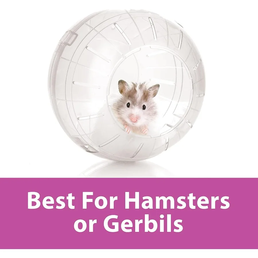 7 كرة تمرين شفافة لهامستر الحيوانات الأليفة Gerbils، حل أنشطة داخلية آمن وشفاف ومتين للقوارض الصغيرة