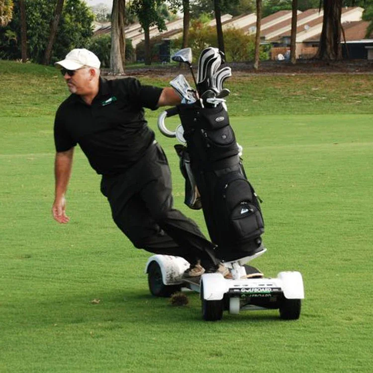 Voiture de Golf Pliante, Scooter Électrique à 4 Roues, 2000W