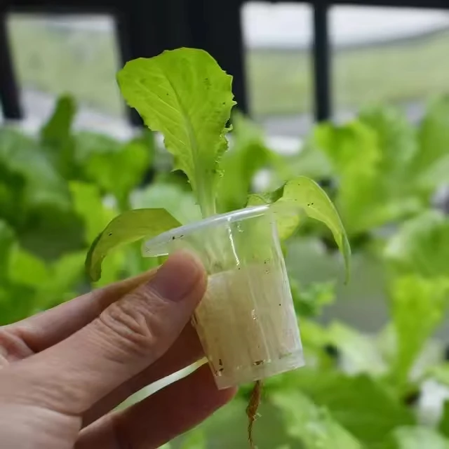 Best Price Factory Double Spiral Hydroponics Rotary Agriculture Spiral NFT Hydroponics System