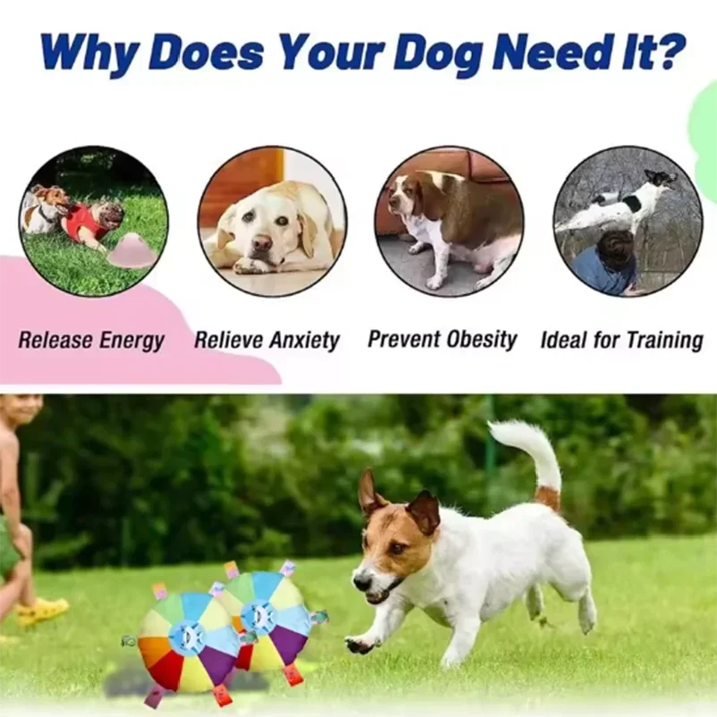 Interactive Ball Toys With Grab Tabs Dog Bite Chew Balls Pets Accessories Puppy Outdoor Training Soccer Pet Supplies 16cm view 6