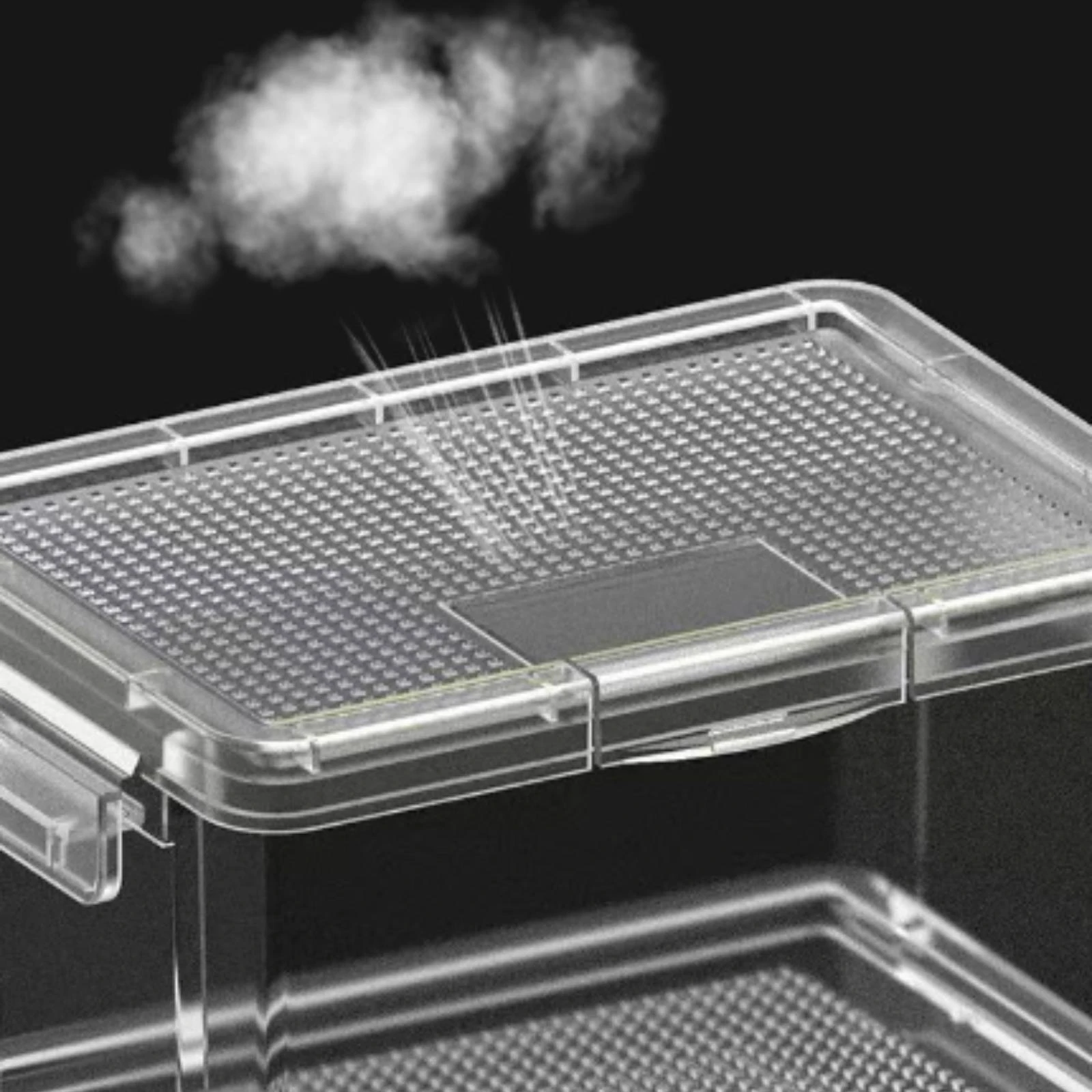 2 Pieces Bug Habitat Tabletop Clear Plastic Breeding Box Beetle Keeper for Entomology Hobbyists, Home, Workbench
