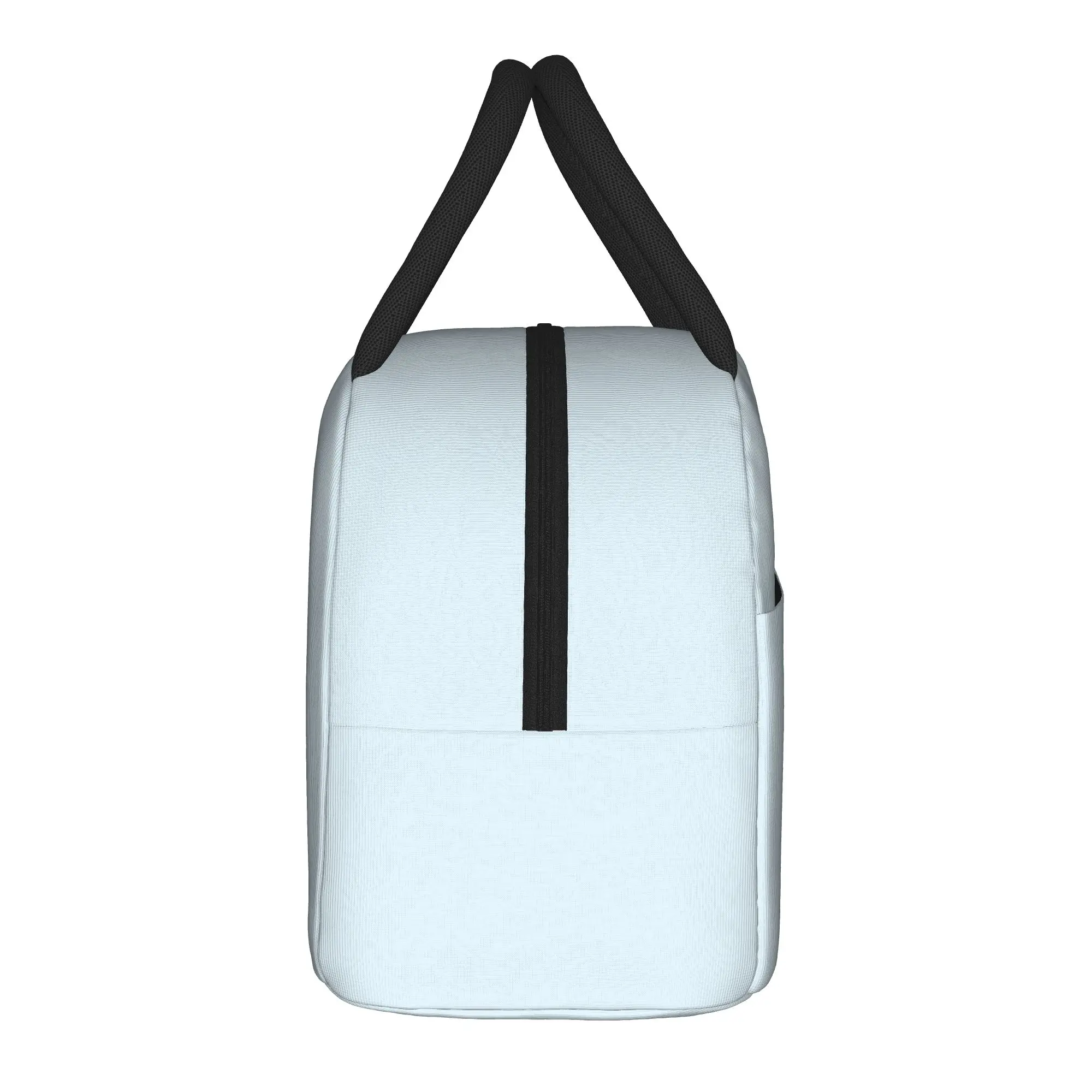 P-Pudgy Penguin Insulated Lunch Bags Cooler Bag Reusable,Lunch Container Cute Couple Portable Tote Lunch Box Office  Picnic
