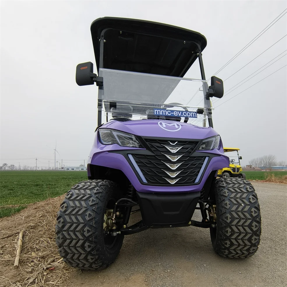 72V Electric Mini Car 2/4 Seater Battery Operated Golf Cart Off Road Cart Four Wheeler Golf Club Car