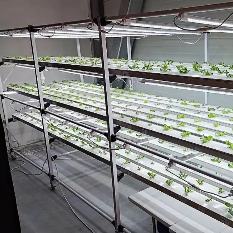 

Производитель Lyine ПВХ NFT Гибкий комплект канала для гидропоники Вертикальные NFT светодиодные фонари Автоматический насос Качественная гидропоника Система