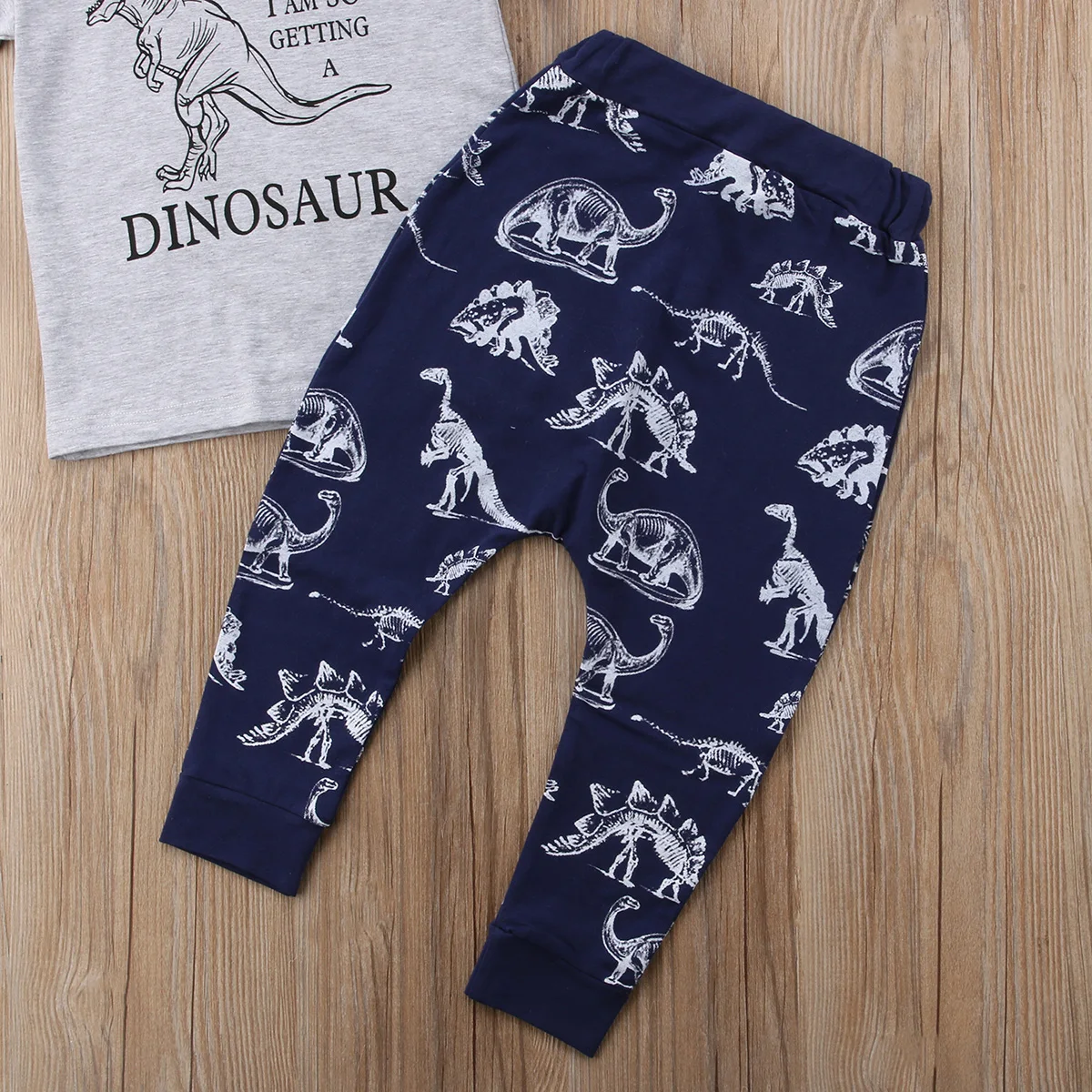 Baby Jongens Kinderen Sets Lente Herfst Casual Dinosaurus Brief Print O-hals Korte Mouw En Dinosaurus Print Elastische Taille Broek