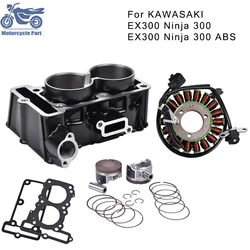 Motorcycle Engine Spare Piston Ring Tool Cylinder Head Gasket Kit Set +Stator Coil for KAWASAKI Ninja 300 Ninja300 ABS 2013-2015
