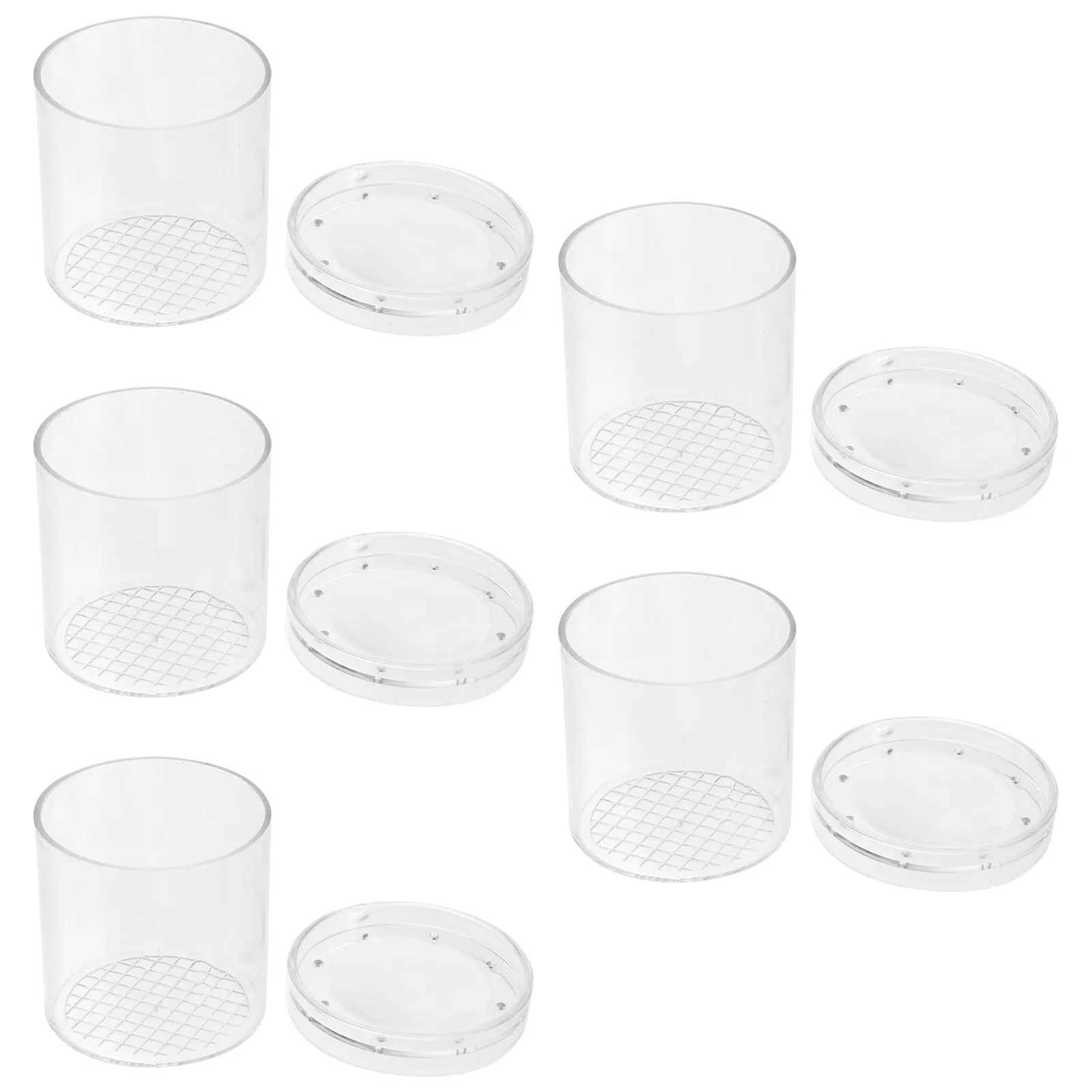 

5Pcs Kids Insect Observation Box Biology Explorer Magnifier for Nature Study Plants Rocks Minerals Collection Cognitive