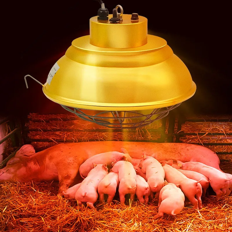 Increase the halogen thermal insulation lamp breeding farm heating brooding temperature adjustment heating lamp