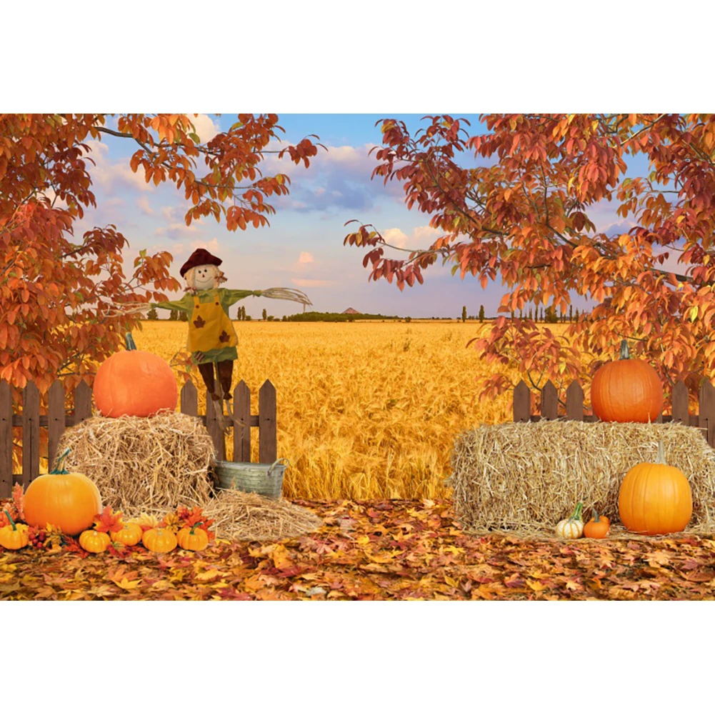 طفل صور التصوير الفوتوغرافي الخريف خلفية التصوير القش كتل الحصاد الأرز اليقطين الشكر حفلة خلفية استوديو الصور