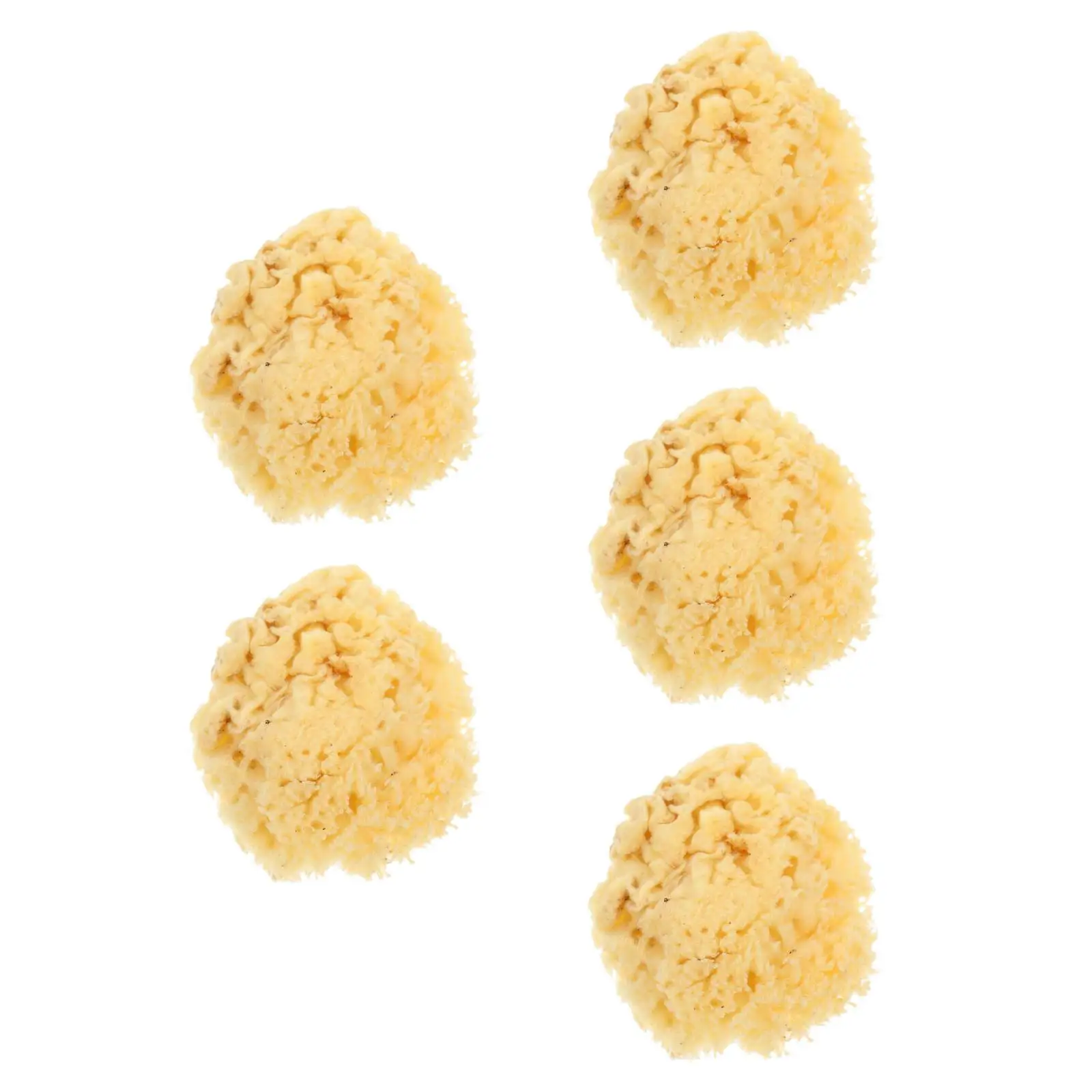 

5pcs 5 Pack Natural Sponge Shower Body Scrubber Texture Roller for Paint Sponges Wash Wool