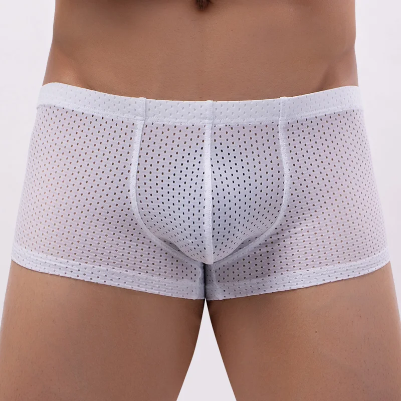 

Men Sheer Mesh Boxer Underwear Sexy U Convex Penis Pouch Male Panties Gay Lingerie See-through Mesh Men Boxershorts Underpants