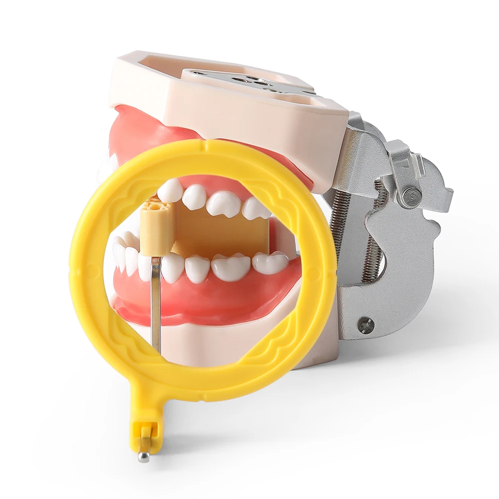 Dentales Röntgenpositionierungssystem Digitaler Sensorhalter Autoklavierbarer Dentaler Positionierer Beißblock für Sensor – Detail 11