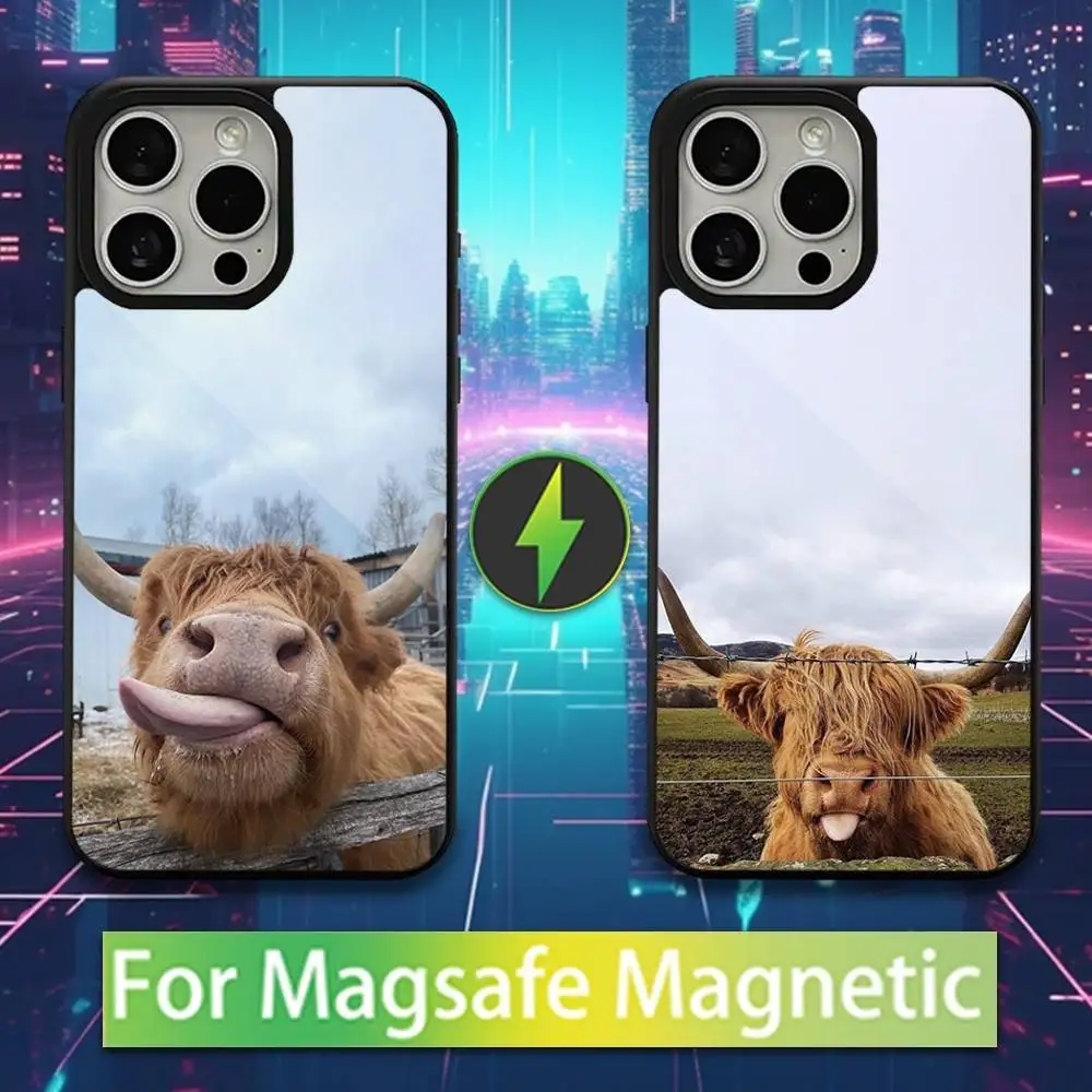 

Cute Highland Cow Phone Case For iPhone 16,15,17,14,13,12,11,Pro,Max,Plus,Mini,Magsafe,Magnetic Wireless Charging Case