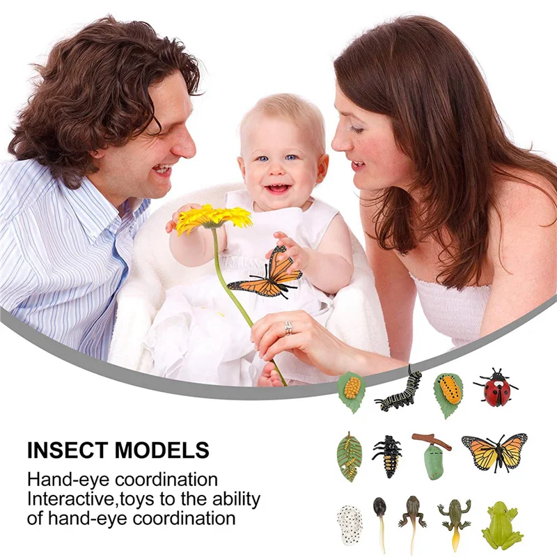 

B05C-6 Sets Insect Figurines Life Cycle Of Butterfly Frog Ladybug Safariology Growth Cycle Model Education