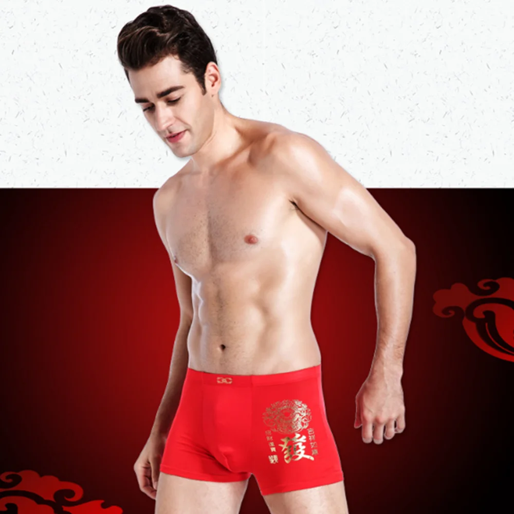 YOUNAXIN 10 Pieces/Lot Big Size Men Underwear Boxers Shorts Underpants Boy Undies Panties Red Color Briefs  L XL 2XL 3XL 4XL 5XL