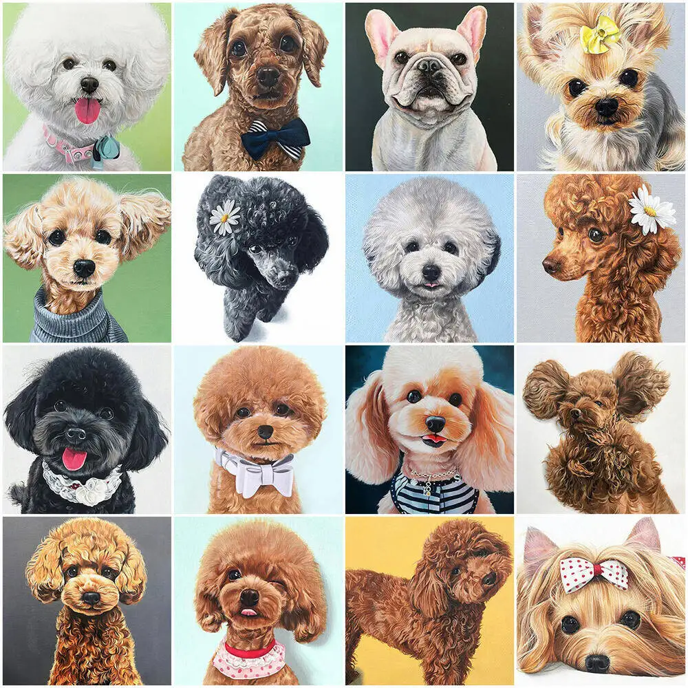 Diy Drawing By Numb…