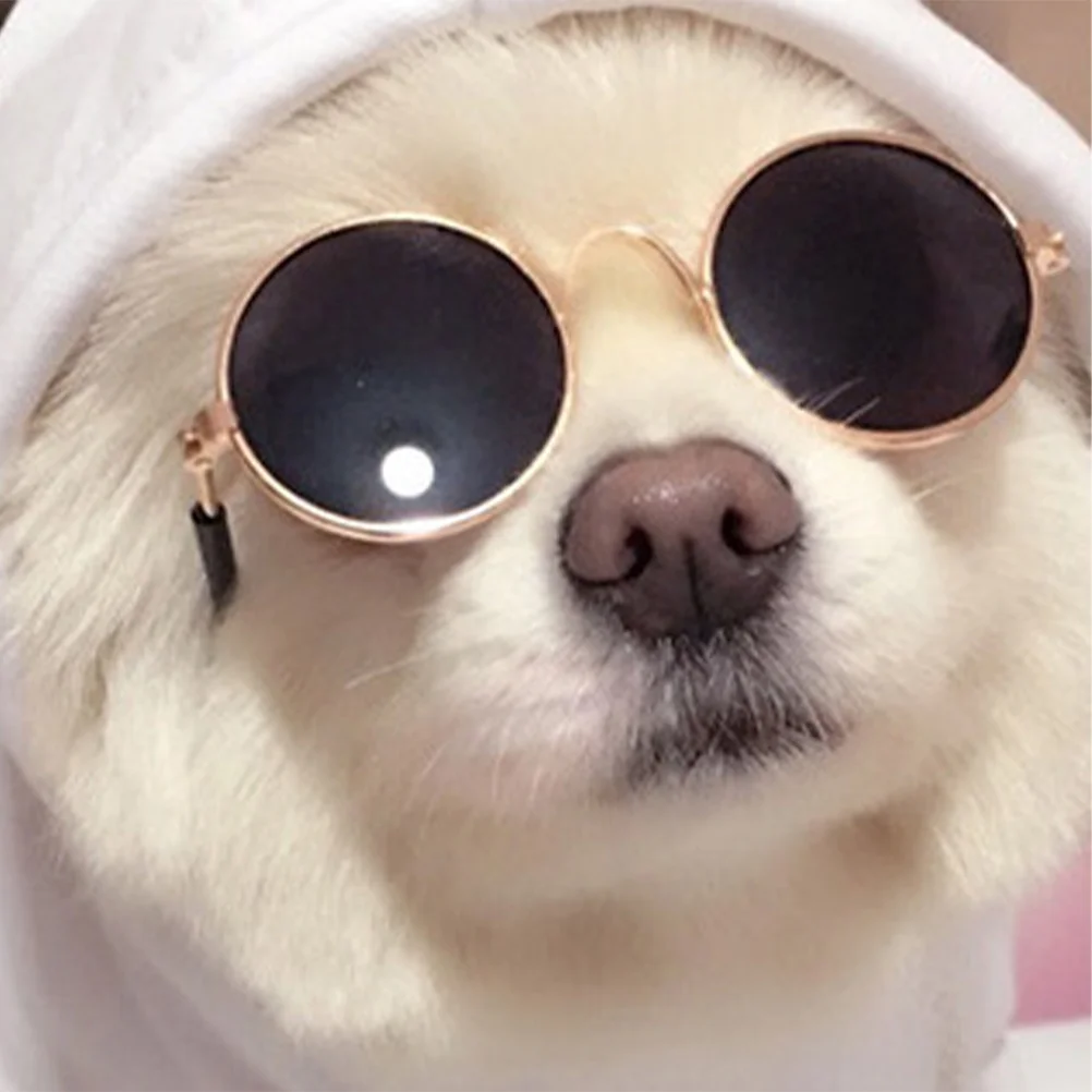 

1Set Pet Sunglasses Necklace Costume Set Creative Cat Dog Glasses Small Prop Sunglasses for Cats Products for Cats