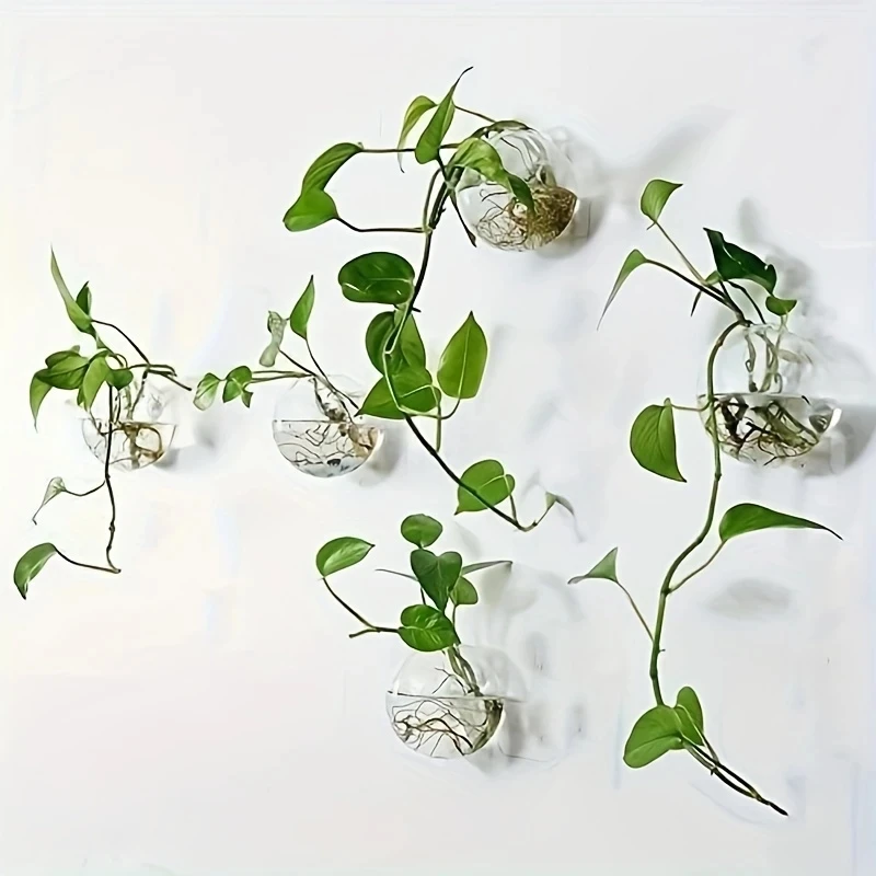 2/4/6 Pack Wall Hanging Glass Terrarium - Self-Watering Hydroponic Planter for Home Office Decor, Handmade Round Crystal Vase