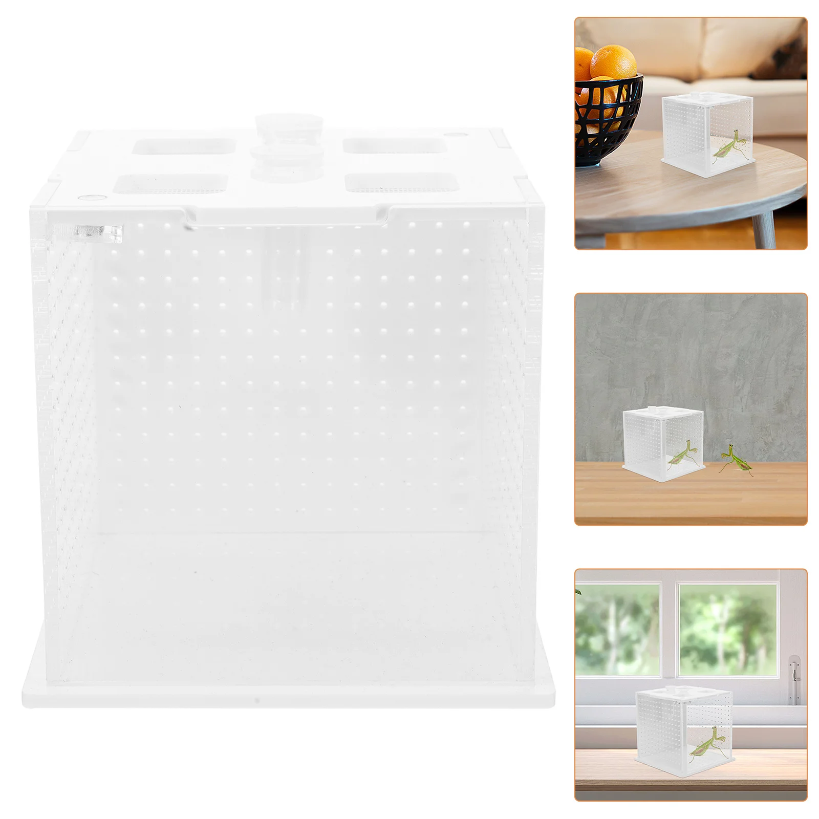 

Durable Mantis Stick Breeding Box Transparent Habitat Easy Clean Professional Design Home Office Use Reptile Box